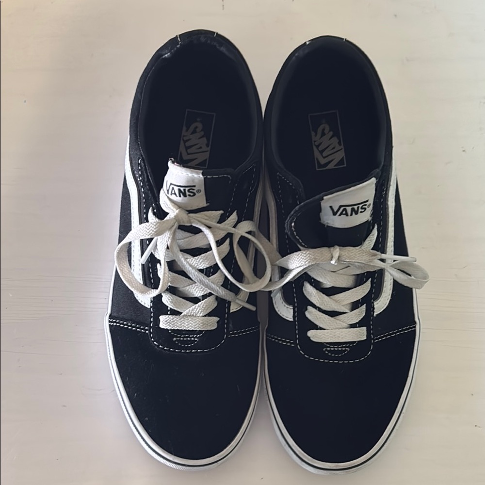 Vans Black and White Skate Sneakers